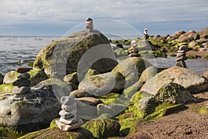Green algae covered boulders at sea coast beach.