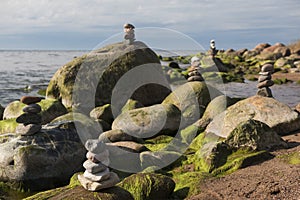 Green algae covered boulders at sea coast beach.