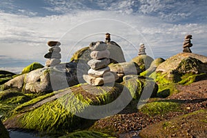 Green algae covered boulders at sea coast beach.