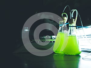 Green algae cultures in a research lab. photo