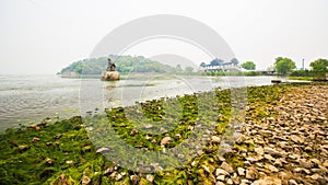Green algae polluted lake taihu in wuxi