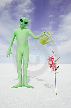 Green Alien Waters Delicate Flower Plant Growing in White Desert