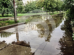 Green alley covered with big puddle after a summer heavy rainfal.