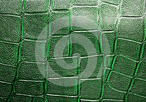 Green alligator patterned background