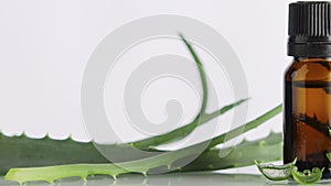 Green Aloe Vera leaves with cosmetic bottle of essential oil on white background selective focus.