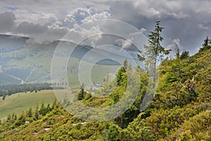 Green alpine landscape