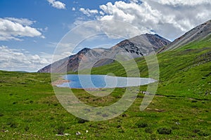 Green alpine landscape with mountain lake in green valley in summer under blue sky. Awesome highland scenery with beautiful