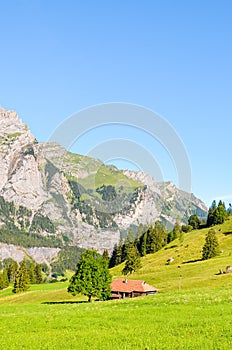 Green Alpine landscape near Kandersteg in Switzerland captured in the summer season. Meadows, rocky hills. Swiss Alps, rocks and