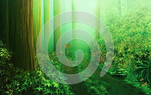 Green Amazon forest with small lonely pathway