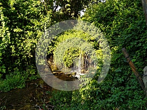 Green ambiente with Little waterfalls and water reflections photo