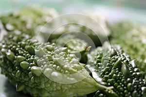 Green Ampalaya vegetables backgrounds and textures