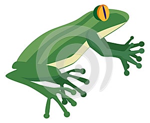 Green amphibia. Natural fauna. Wild frog or toad photo