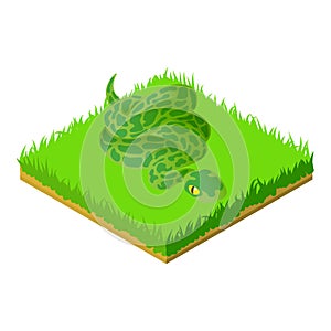 Green anaconda icon, isometric style