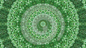 Green Anahata relaxing mandala pattern for background