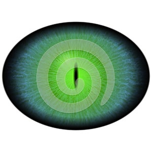 Green animal eye with large pupil and bright retina. Dark green iris around pupil, detail view into eye bulb. photo