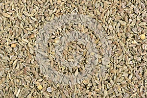 Green anis seeds on background