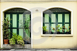 Green antique wood door and window at old concrete building.