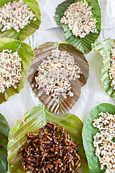 Green Antâ€™s eggs on green leaves at local market