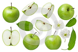 Green Apple for design package. Set of whole Apple, half and slice with leaf and flowers isolated on white background