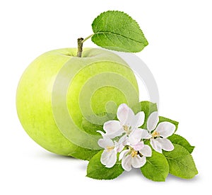 Green apple with flowers isolated on white background