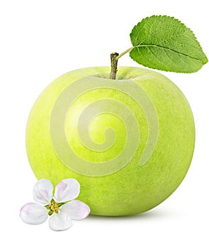 Green apple with flowers isolated on white background