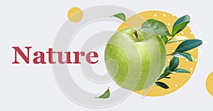 Green apple with fresh plants isolated on abstract colorful background. Nature concept. Collage banner design. Copy space
