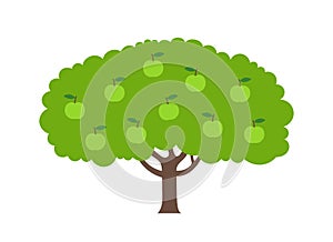 Green apple fruits tree. Orchard garden harvest. Vector cartoon Illustration.