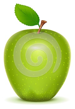 Green apple Granny Smith on white background