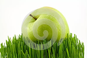 Green apple on grass