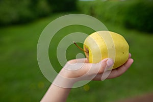 A green apple in a hand reaching out