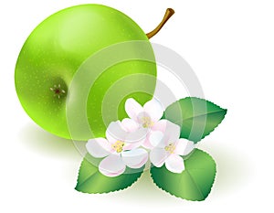 Green apple with leaf and flowers