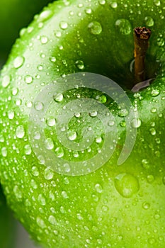 Green apple macro in selective focus