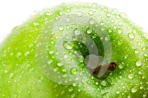 Green apple macro in selective focus