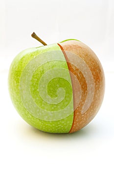 Green apple and red segment photo