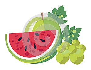 Green apple, sliced watermelon, and bunch of grapes with leaves. Fresh summer fruits vector illustration