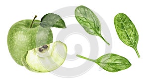 Green apple spinach leaf watercolor illustration isolated on white background