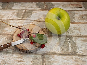 Green apple and a sprig of wild apples on a wooden sawn, light table