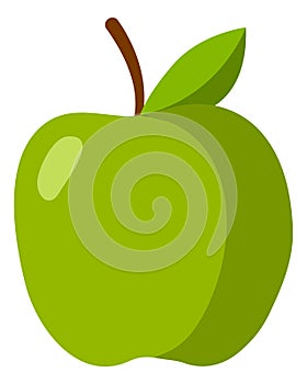 Green apple with stem. Juicy fruit. Teacher symbol