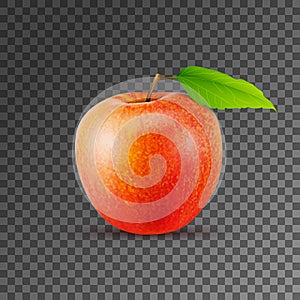 Green apple on transparent background