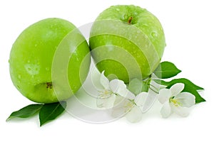 Green apple and white flower.