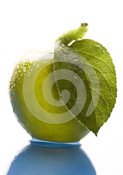 Zelený jablko červ 