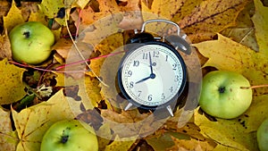 Green apples and alarm clock on colorful maple leaves on the ground. Autumn time concept panorama motion camera video.