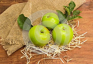 Green apples, apple tree twig on burlap on rustic table