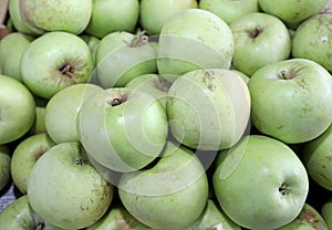 Green apples as background texture. Selective focus