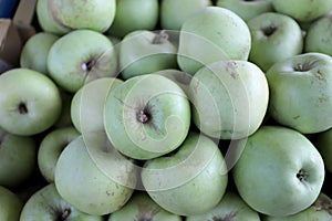 Green apples as background texture. Selective focus