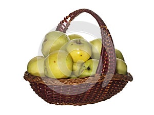 Green apples in a decorative fruit basket isolated on white back