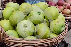 Green Apples sold at Borough Market in London, UK photo