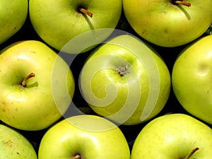 Green apples texture