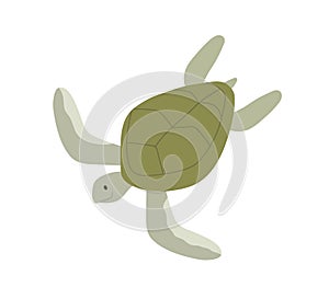 Green aquatic turtle with shell. Undersea tortoise with carapace isolated on white background. Amphibian underwater