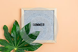 Green aralia leaf, felt letterboard with word Summer